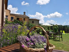 Agriturismo Monterosello Città Di Castello